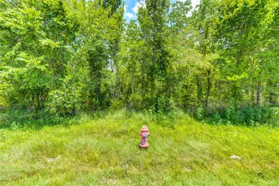 0 County Road 133 Road, Alvin, TX 77511 - Photo 6