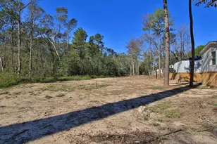 19320 Crystalwood Estates Dr, New Caney, TX 77357 - Photo 38