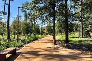 408 Fowler St, Houston, TX 77007 - Photo 24