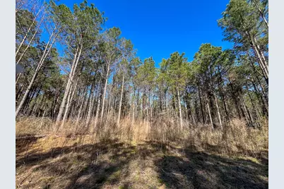 1 Off Fm 247, Huntsville, TX 77340 - Photo 20