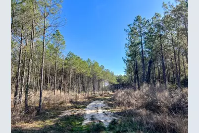 1 Off Fm 247, Huntsville, TX 77340 - Photo 18