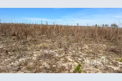 1 Off Fm 247, Huntsville, TX 77340 - Photo 6