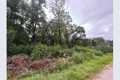 131 County Road 4282, Dayton, TX 77535 - Photo 1