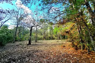 28046 Crossway Oaks, Magnolia, TX 77355 - Photo 4