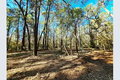 28046 Crossway Oaks, Magnolia, TX 77355 - Photo 10