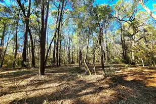 28046 Crossway Oaks, Magnolia, TX 77355 - Photo 10