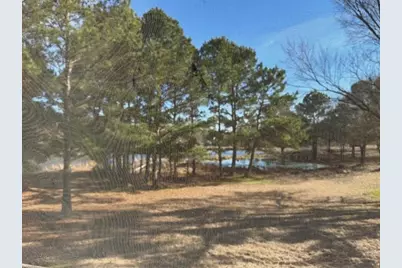 6380 Greenmeadow Drive, Richards, TX 77873 - Photo 18
