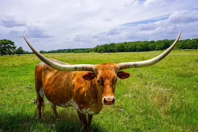 8295 County Rd 179, Richards, TX 77873 - Photo 28