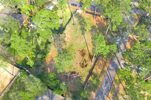 1701 Pine Village Dr, Houston, TX 77080 - Photo 2