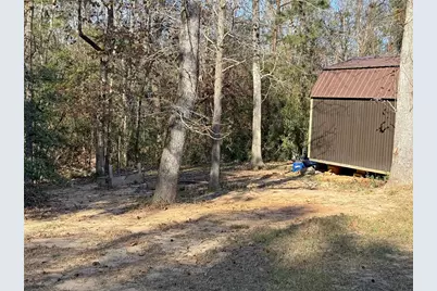 291 Leaning Oak Drive, Point Blank, TX 77364 - Photo 22