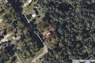 291 Leaning Oak Dr, Point Blank, TX 77364 - Photo 6