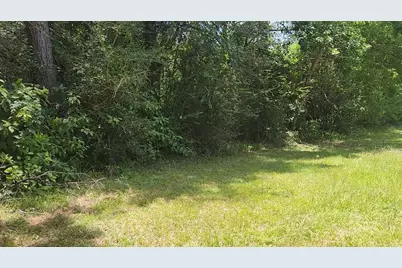 Tbd Terri Lane, Magnolia, TX 77355 - Photo 16