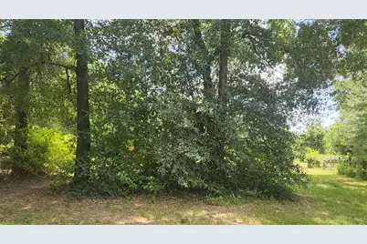 Tbd Terri Lane, Magnolia, TX 77355 - Photo 28
