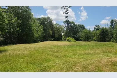 Tbd Terri Lane, Magnolia, TX 77355 - Photo 20