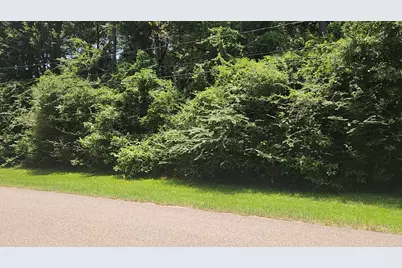 Tbd Terri Lane, Magnolia, TX 77355 - Photo 12