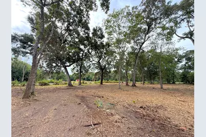 Lot 12A1 Cr 345, Brazoria, TX 77422 - Photo 6