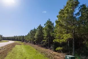 15715 Ridge Rock Rd, Willis, TX 77378 - Photo 6