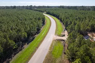 15715 Ridge Rock Rd, Willis, TX 77378 - Photo 12