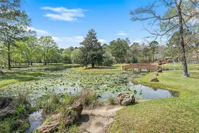 32510 Tall Oaks Way, Magnolia, TX 77354 - Photo 46