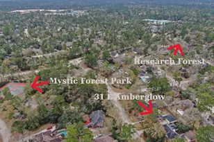 31 E Amberglow Cir, The Woodlands, TX 77381 - Photo 38