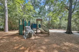 31 E Amberglow Cir, The Woodlands, TX 77381 - Photo 44