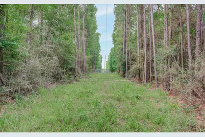 0 Winters Ranch Road, New Waverly, TX 77358 - Photo 10