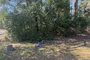 137 Paradise Valley Dr, Conroe, TX 77304 - Photo 4