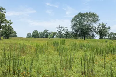 16204 Newberg Rd, Cat Spring, TX 78933 - Photo 20