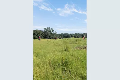 16204 Newberg Rd, Cat Spring, TX 78933 - Photo 26