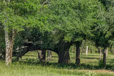 16204 Newberg Rd, Cat Spring, TX 78933 - Photo 6