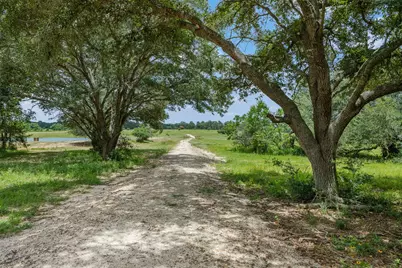 16204 Newberg Rd, Cat Spring, TX 78933 - Photo 10