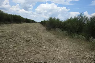36847 0002 Richard Frey Road Dr, Hempstead, TX 77445 - Photo 20