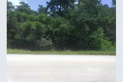 Lot 45 Moore Street, Tomball, TX 77375 - Photo 2