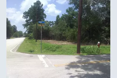 Lot 45 Moore Street, Tomball, TX 77375 - Photo 4