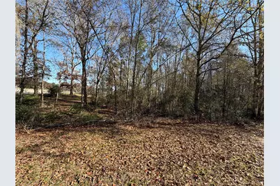 Tbd Overland Trail, Trinity, TX 75862 - Photo 6