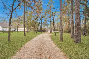 25211 Penguin St, Magnolia, TX 77355 - Photo 8