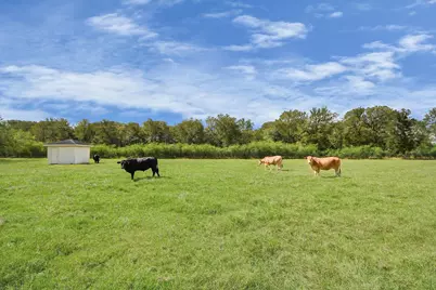 5360 Muske Lane, Pattison, TX 77423 - Photo 44