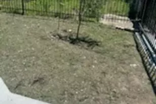 8321 Coma St, Houston, TX 77051 - Photo 46