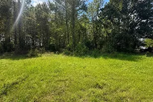 5254 FM2798, Livingston, TX 77351 - Photo 1