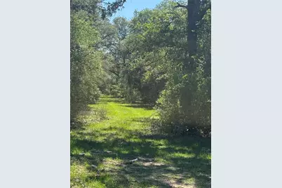 1222 Cr 2152, Rock Island, TX 77470 - Photo 8