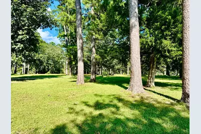 Tbd Lakeland Ranch Lot 422, Hillister, TX 77624 - Photo 4