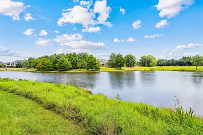 103 Lake View Loop, Fulshear, TX 77441 - Photo 4