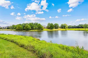 103 Lake View Loop, Fulshear, TX 77441 - Photo 4