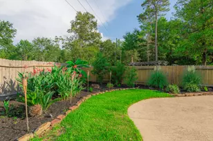 10 Delphinium Pl, The Woodlands, TX 77382 - Photo 34