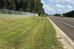 1651 Us-59 N, Cleveland, TX 77327 - Photo 4