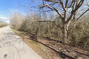 14625 Routt Point Rd Lot 1, Needville, TX 77461 - Photo 4