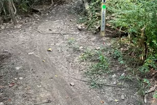 2710 Camden Hill Ln, Pearland, TX 77089 - Photo 42