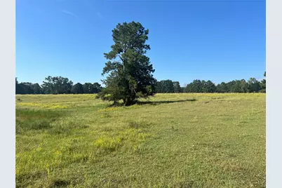 000 Hardy Bottom Road, Huntsville, TX 77340 - Photo 6