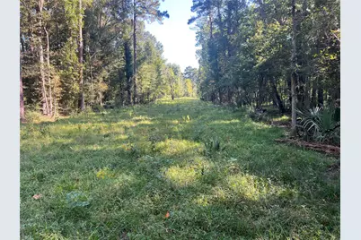 000 Hardy Bottom Road, Huntsville, TX 77340 - Photo 2