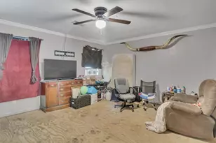 253 Road 3800 N, Cleveland, TX 77328 - Photo 28
